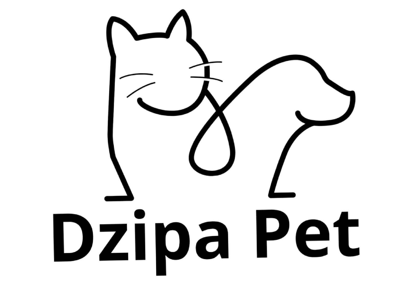 Dzipa